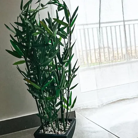 Pearl Point Apartament *